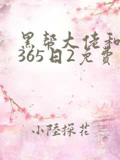 黑帮大佬和我的365日2免费在线观看