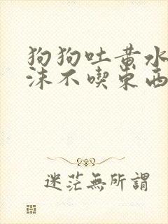 狗狗吐黄水带泡沫不吃东西怎么办