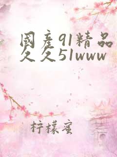 国产91精品久久久51www