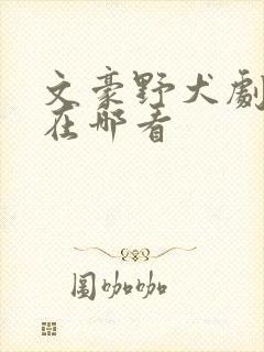 文豪野犬剧场版在哪看