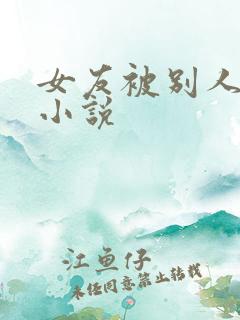女友被别人操了小说