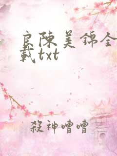 良陈美锦全本下载txt