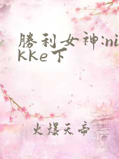 胜利女神:nikke下