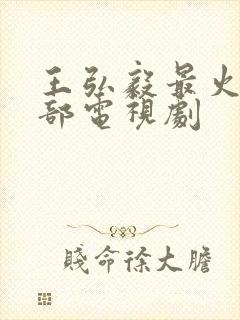 王弘毅最火的5部电视剧