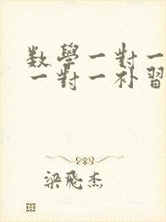 数学一对一初中一对一补习