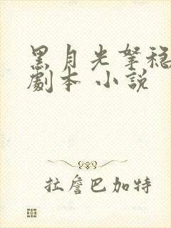 黑月光拿稳be剧本 小说