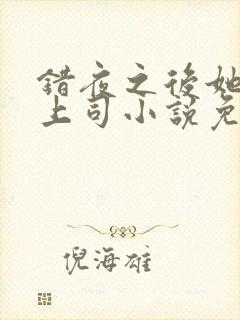 错夜之后她成了上司小说免费阅读最