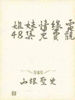 姐妹情缘电视剧48集免费观看全集