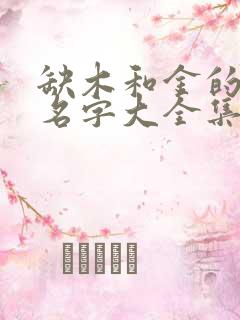 缺木和金的男孩名字大全集