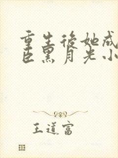 重生后她成了权臣黑月光小说