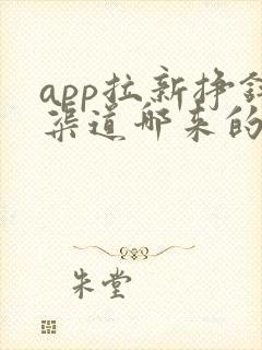 app拉新挣钱渠道哪来的