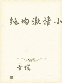 纯肉激情小说