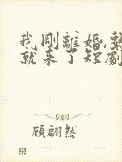 我刚离婚,系统就来了短剧演员表