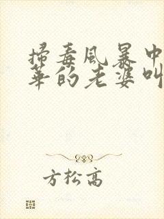 扫毒风暴中卢少华的老婆叫什么