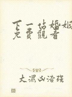 下一站婚姻全集免费观看