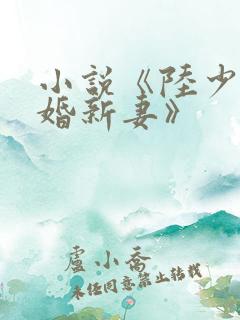 小说《陆少的暖婚新妻》