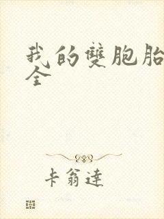 我的双胞胎老婆全