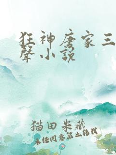 狂神唐家三少有声小说