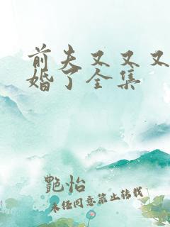 前夫又又又想复婚了全集
