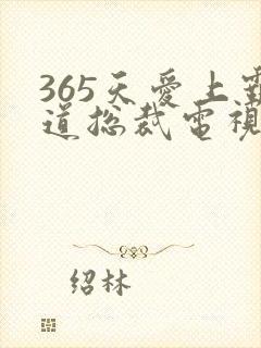 365天爱上霸道总裁电视剧第二