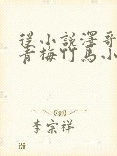 从小说泽哥哥的青梅竹马小说