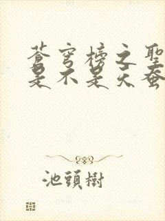 苍穹榜之圣灵纪是不是天蚕土豆写的