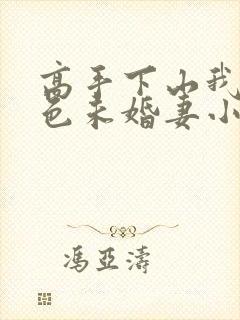 高手下山我的绝色未婚妻小说