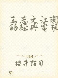 王志文江珊主演的经典电视剧大全