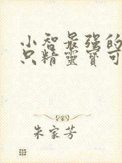 小智最强的二十只精灵宝可梦