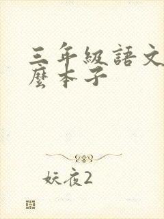 三年级语文用什么本子