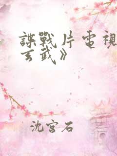 谍战片电视剧《玄武》