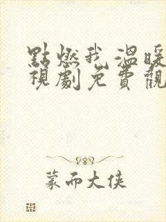 点燃我温暖他电视剧免费观看