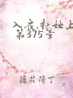 入夜,对她上瘾 第375章