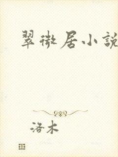 翠微居小说