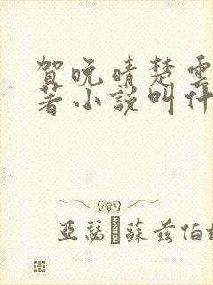 贺晚晴楚云深原著小说叫什么名字