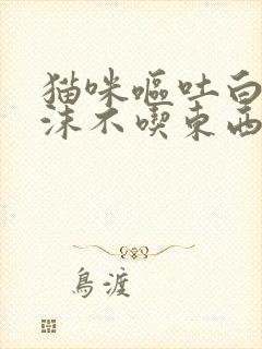 猫咪呕吐白色泡沫不吃东西怎么办