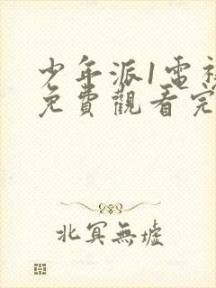 少年派1电视剧免费观看完整版