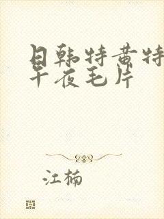 日韩特黄特刺激午夜毛片