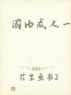 国内成人一级片