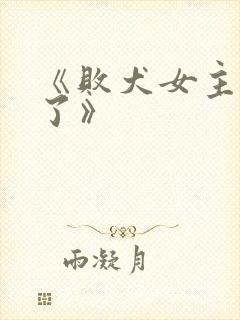 《败犬女主太多了》