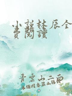 小说林辰全文免费阅读