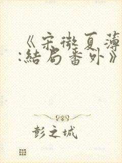 《宋微夏薄以宸:结局番外》