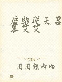 废柴逆天召唤师慕艾艾