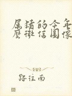 属猪的今年用什么微信图像好