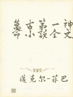 万古第一神李天命小说全文免费阅读无弹窗