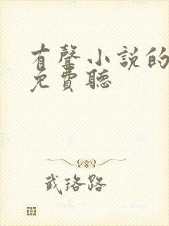 有声小说的网站免费听