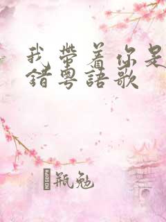 我带着你是我的错粤语歌