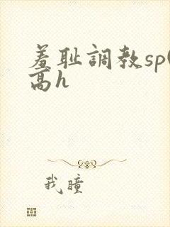 羞耻调教sp(高h
