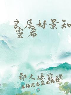 良辰好景知几何 灵希