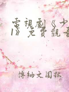 电视剧《少年派1》免费观看